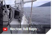 film Necton full flaps