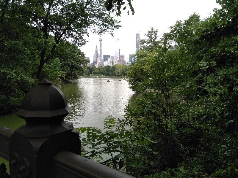 53Central Park1